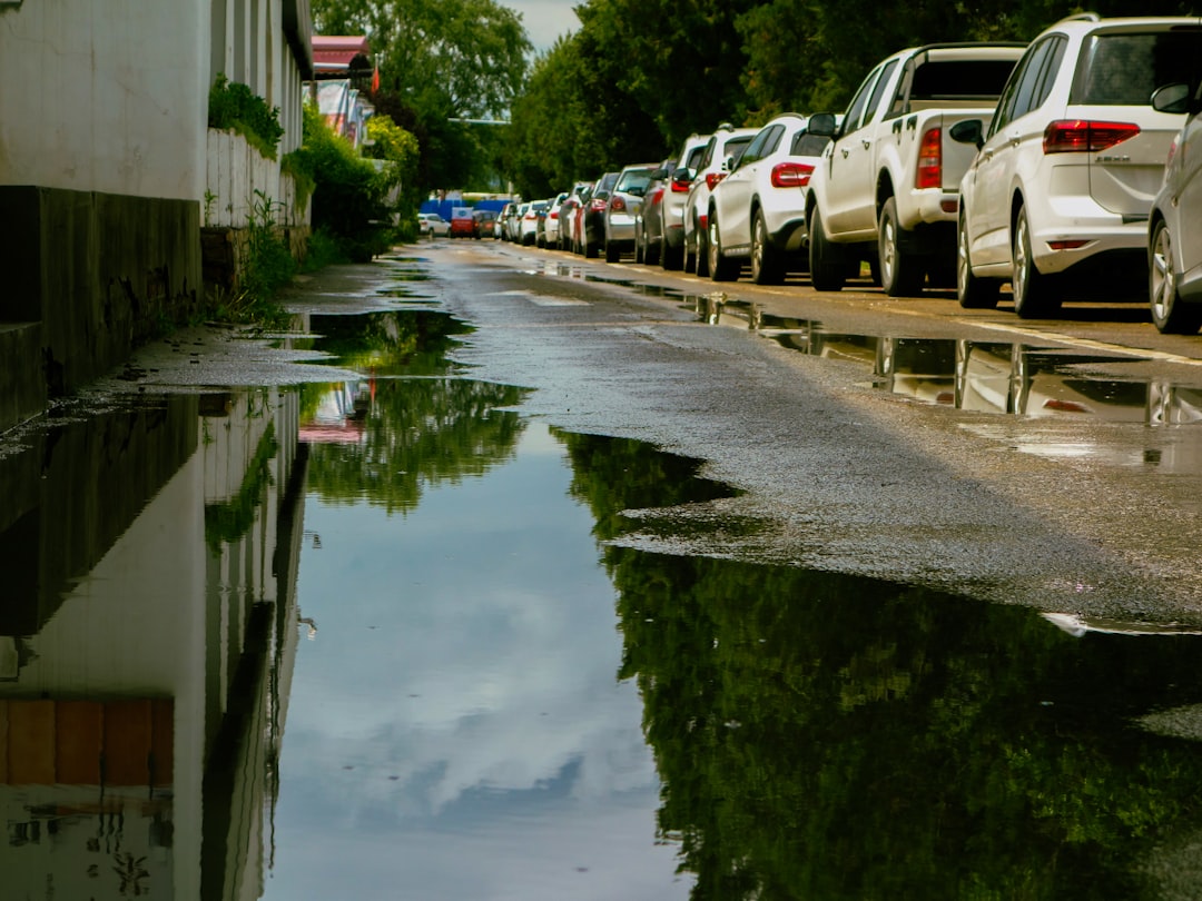 January 2026 Floods: Carpooling Savings | CrabaRide